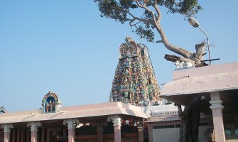 Palani Murugan Temple, Arulmigu Dhandayuthapani Swamy Thirukoil
